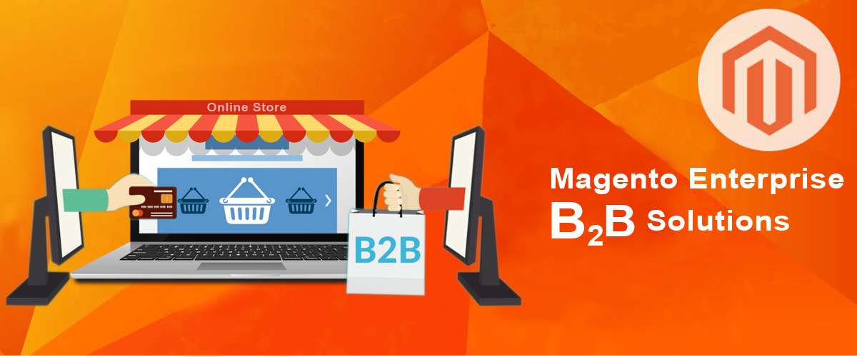 Magento Extension Development / Magento Enterprise B2B Solution