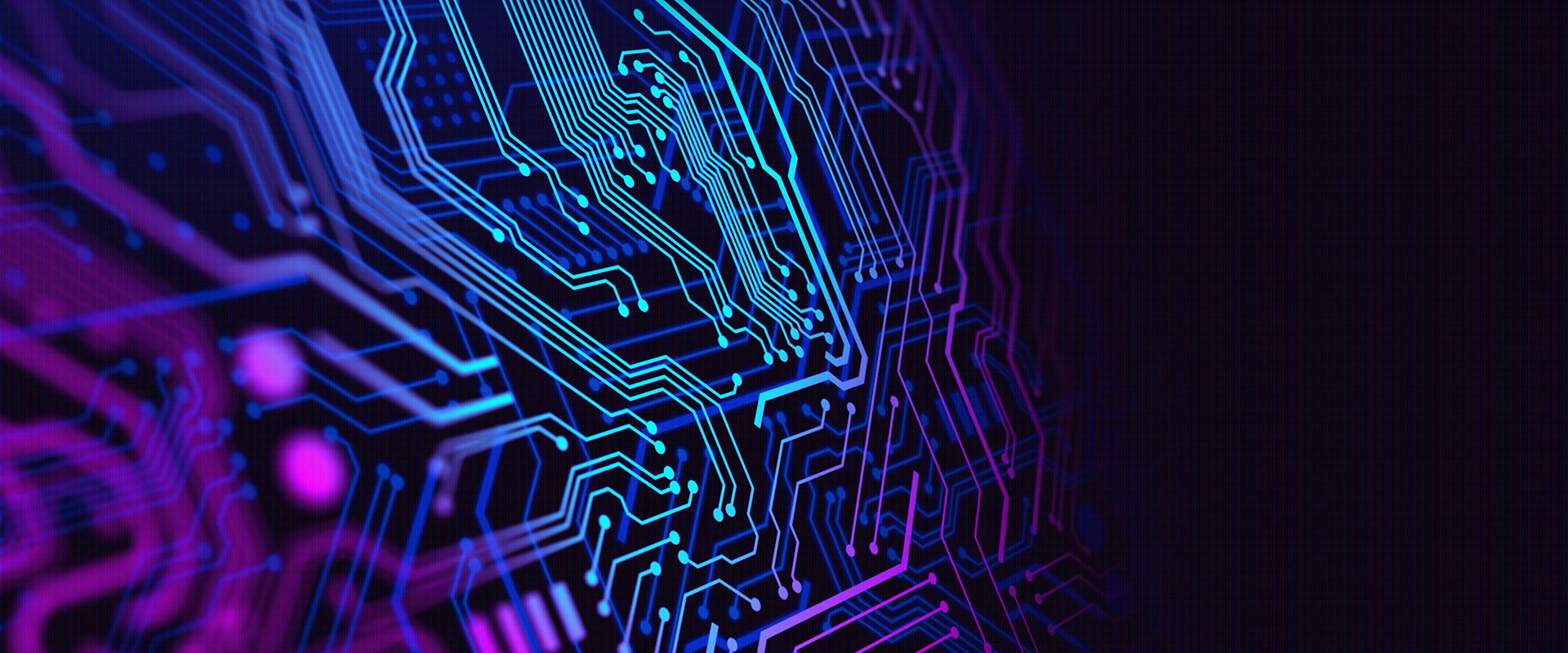 Software  Consulting Services