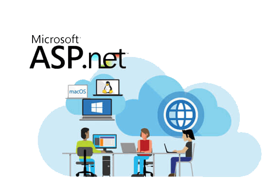 Hire ASP.NET Developer